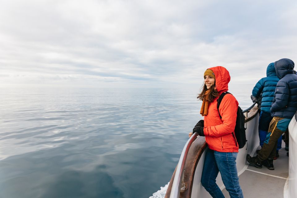 Reykjavik: Whale Watching Cruise on the Amelia Rose Yacht - Tour Length and Duration Variations