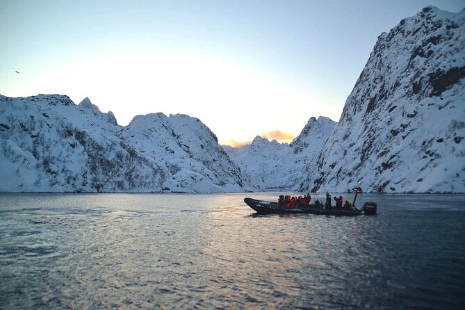 RIB Sea Eagle Safari Trollfjord Cruise - Pricing Information