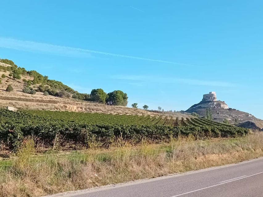 Ribera Del Duero: Wine Tour From Madrid - English or Spanish - Winery Visits and Tastings