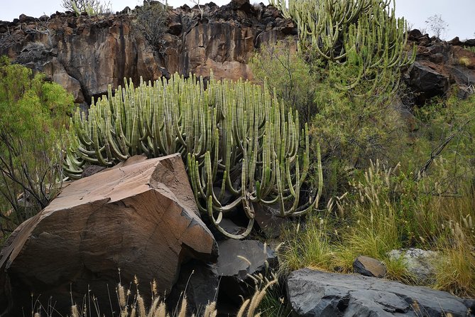 Rock Climbing in Natural Space. - Meeting Point and Start Time