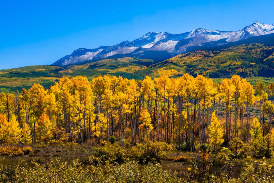 Rocky Mountain National Park: Driving Audio Tour App - Customer Ratings and Feedback