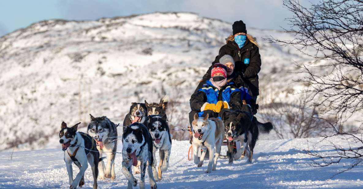 Rovaniemi: Santa Claus Village, Husky & Reindeer Sled Ride - Husky Sled Ride