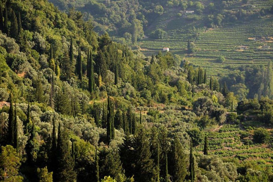 Samos: Full-Day Private Sightseeing Tour - Discovering Potami Waterfalls