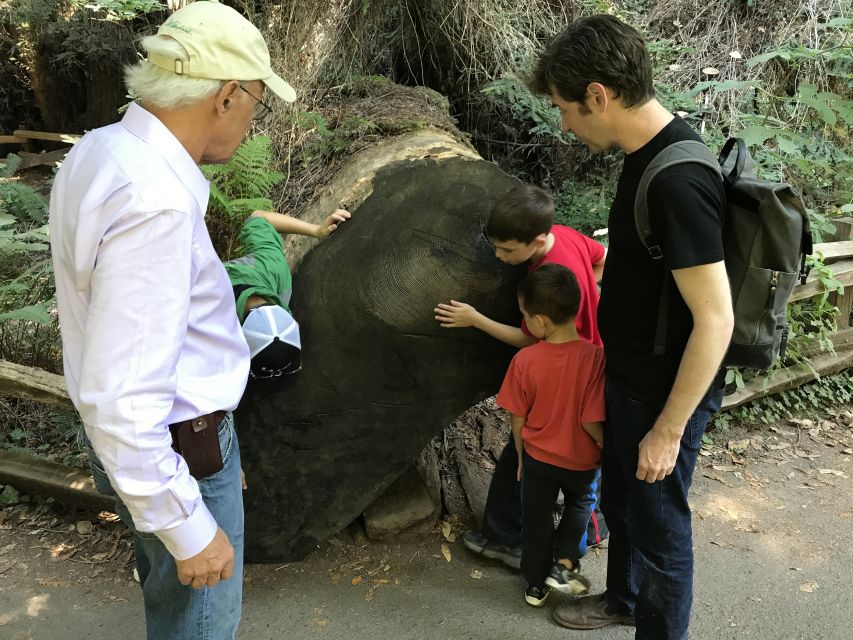 San Francisco: Private Muir Woods and Sausalito Tour - Important Information