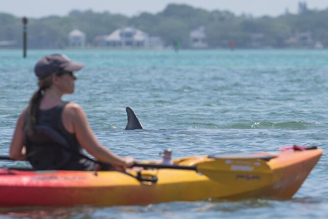 Sarasota Mangrove Tunnel Guided Kayak Adventure - Guided Kayak Expertise