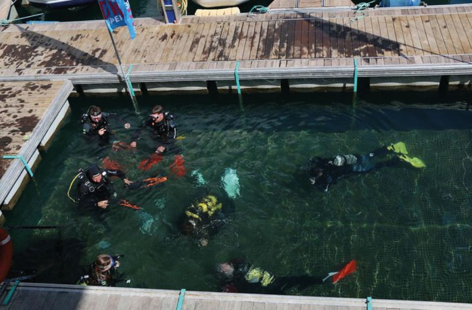 Scuba Diving Baptism in Caleta De Fuste - Things To Known