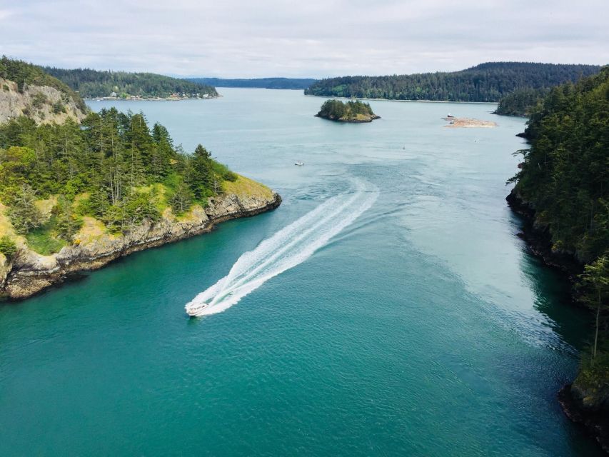 Seattle: Whidbey Island Deception Pass + Winter Birding Trip - Deception Pass State Park