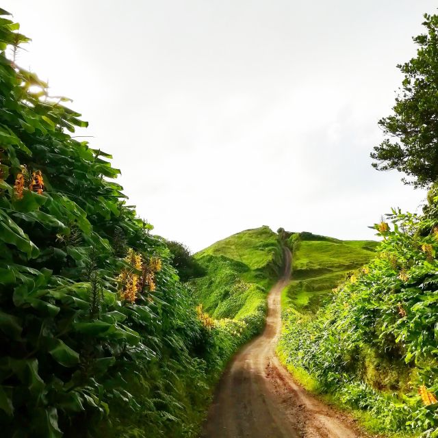 Sete Cidades - Nature Lovers Jeep Tour - Frequently Asked Questions