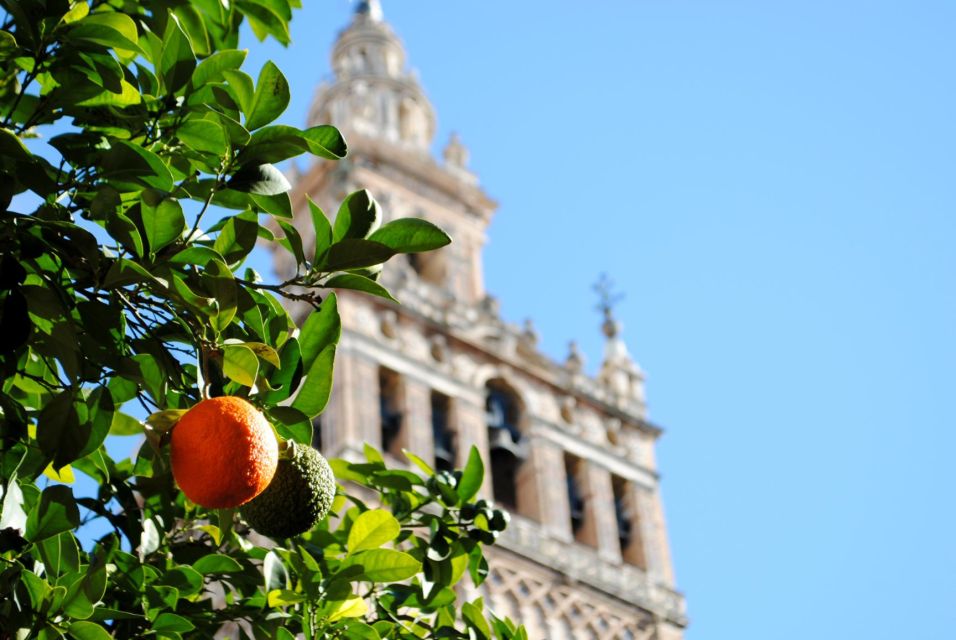 Seville 4-Hour Guided Walking Tour - Guided Tour Options