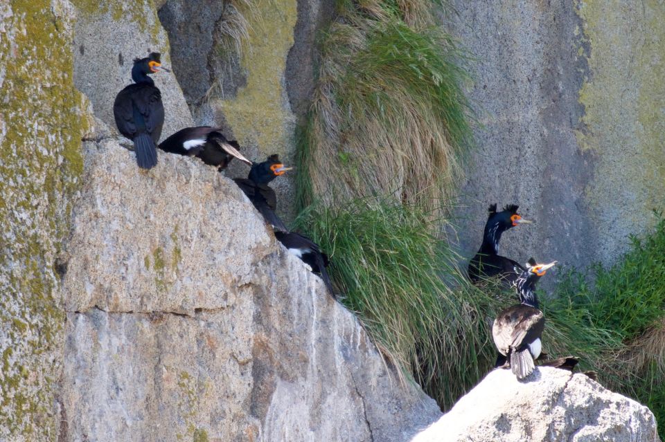 Seward: Kenai Fjords National Park Extended Cruise - Meeting Point and Parking