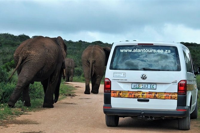 Shore Excursion Cruise Ships Port Elizabeth, Addo Elephant Park - Guest Reviews