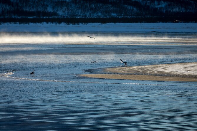 Small Group, Arctic Landscape Blue Day Tour With Creative Vacations - Personalized Experience