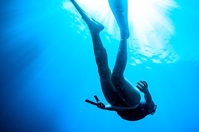 Snorkeling With Marine Biologist Expert From Sorrento - Booking and Cancellation Policies