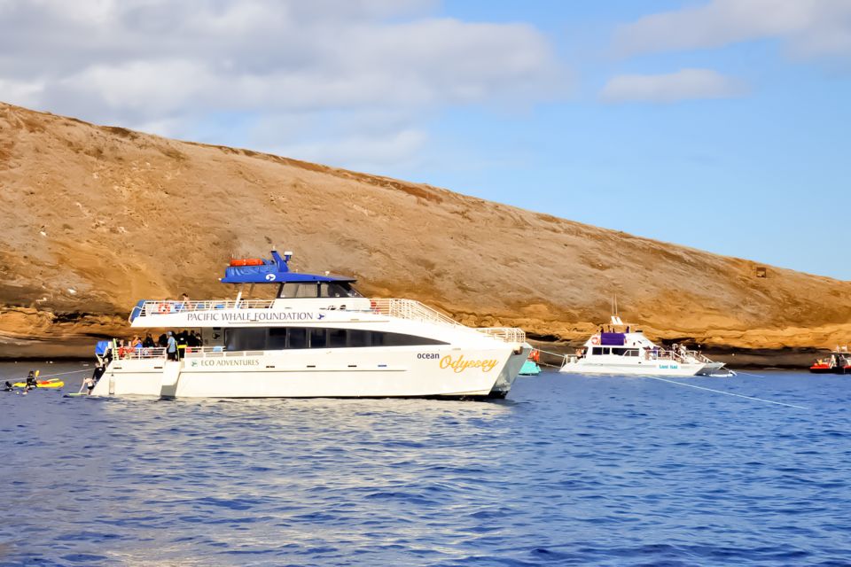 South Maui: Eco Friendly Molokini and Turtle Town Tour - Meeting and Parking