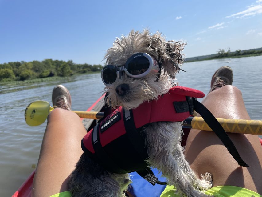 Starved Rock State Park: Guided Kayaking Tour - Customer Feedback