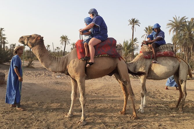 Sunset Camel Ride in the Palmeraie With Transfers - Booking and Additional Details