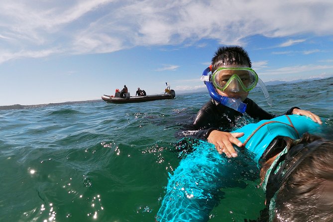 Swim With Seals - Scenic Boat Ride