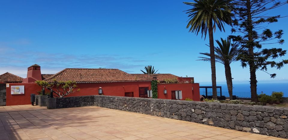 Tenerife: 4-Hour Gauchinche Food Tour - Guachinche Lunch