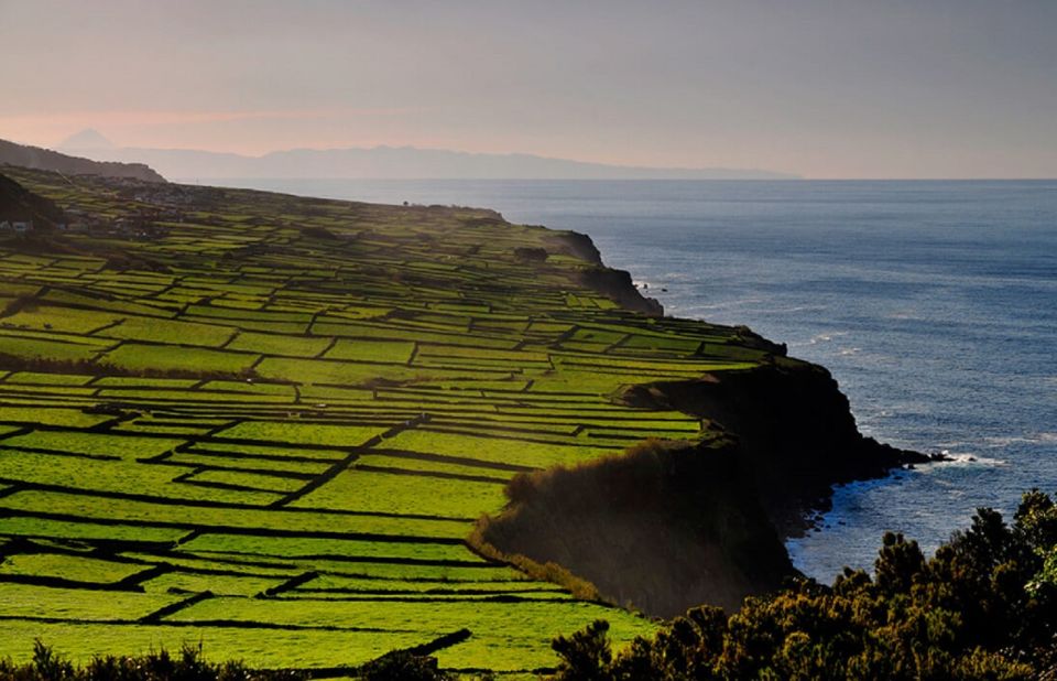 Terceira Island Whale Watching and Jeep Tour - Key Tour Details