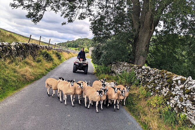 The Yorkshire Dales of All Creatures Great & Small - Tour Inclusions and Exclusions