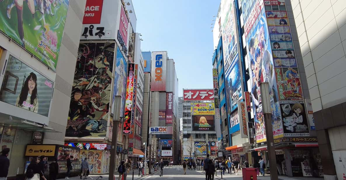 Tokyo Akihabara, Anime, Manga, Video Games & Maid Cafe Tour - Shopping Opportunities