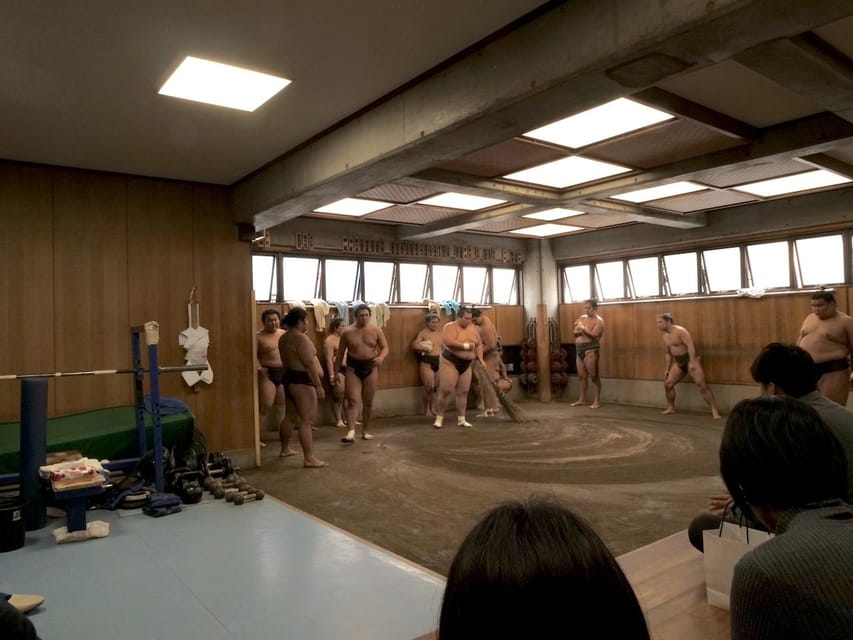 Tokyo Guided Sumo Stable Visit Review - Sumo Stable Tour