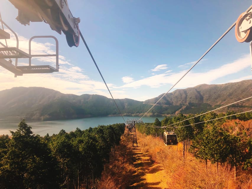 Tokyo: Hakone Fuji Day Tour Review - Inclusions and Exclusions