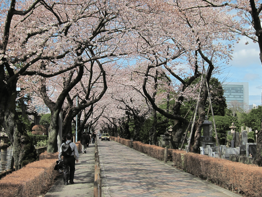 Tokyo in a Day a Self-Guided Audio Walk in English - Self-Guided Audio Tour