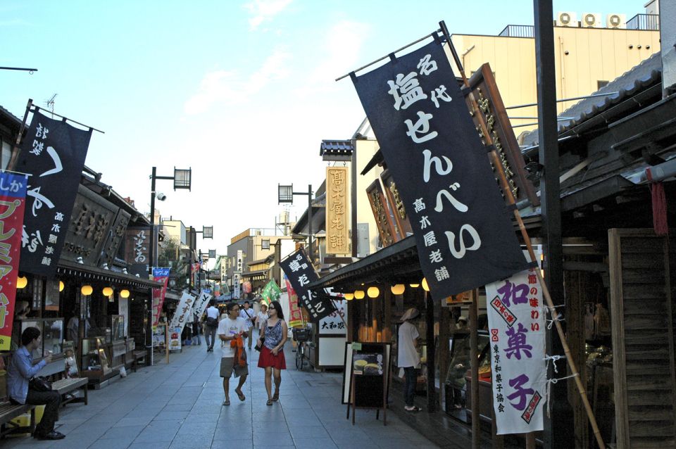 Tokyo: Off the Beaten Path Private Guided Tour - Discovering Kappabashi Street and Nezu