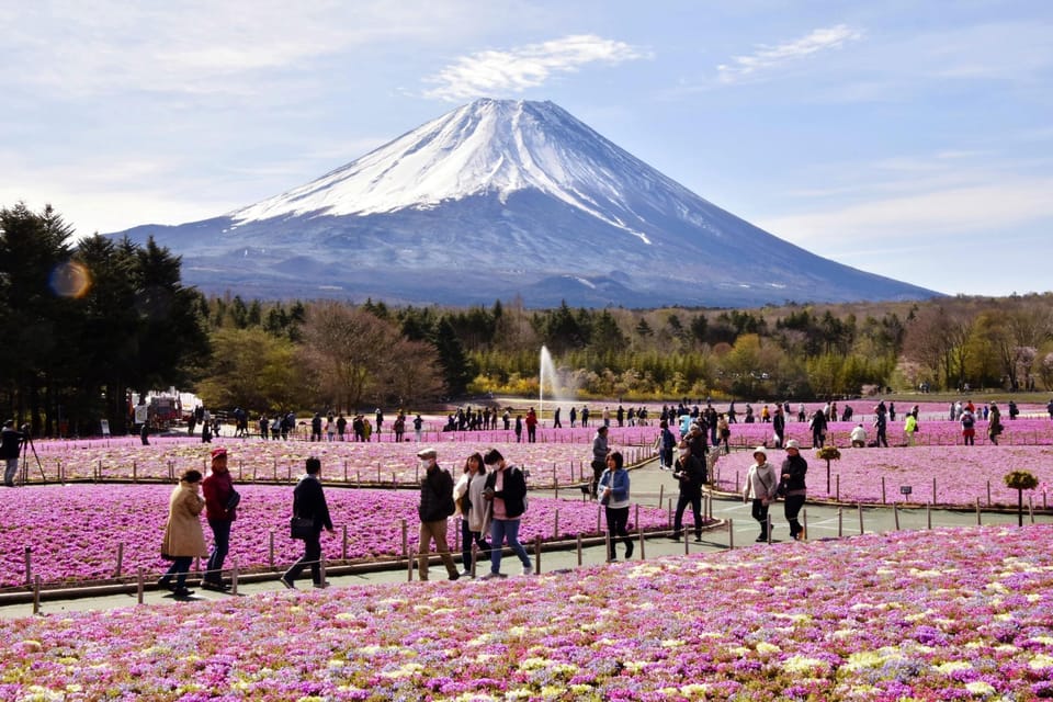 Tokyo to Mt Fuji Private Tour - Frequently Asked Questions