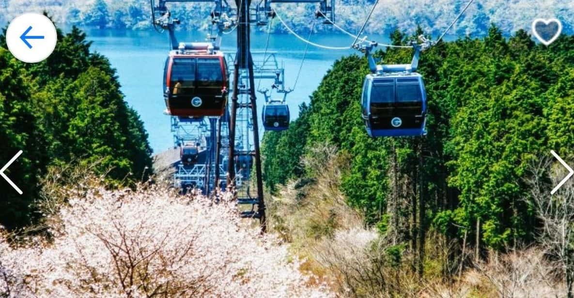 Tokyo:Private Luxury Car Tour to Mt. Fuji and Lake Kawaguchi - What to Bring and Expectations