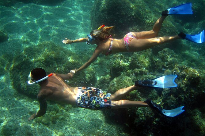 Tour in Rubber Dinghy and Snorkeling in the Protected Marine Area of Tavolara - Maximum Number of Travelers