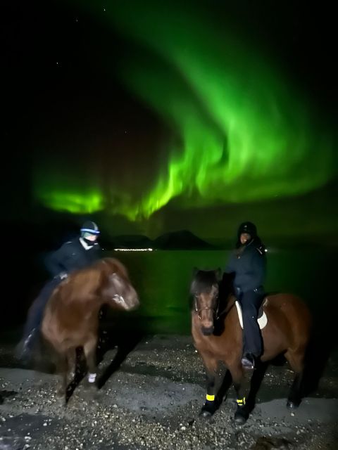 Tromsø: Lyngen Horseback Winter Evening Riding Experience - Getting to the Meeting Point