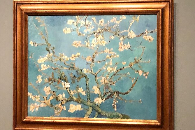 Van Gogh Museum, Rijks Museum & Walking Tour - Private Day Tour - Customization Options