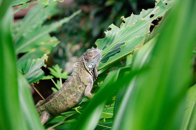 Victoria Butterfly Gardens Ticket - Cancellation and Refunds