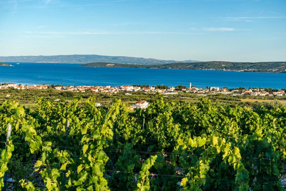 Vineyard Experience: Wine Tasting Near Split - Transportation and Transfers