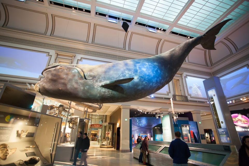 Washington DC: Museum of Natural History Private Guided Tour - Frequently Asked Questions