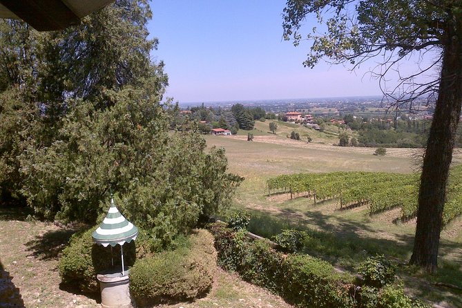 Winetour and Tasting on Bologna Hills, Guided by the Wine Grower - Additional Tour Information