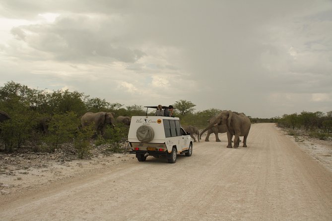 11 Day Namibia Experience Fully Accommodated Tour - Accessibility and Suitability