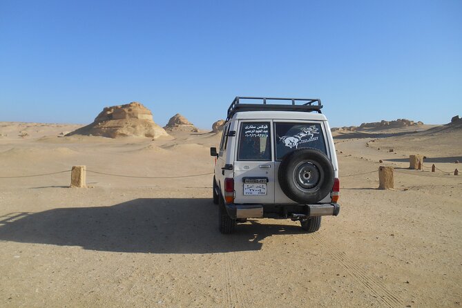 2 Day Safari in the White and Black Desert - Discovering Bahariya Oasis