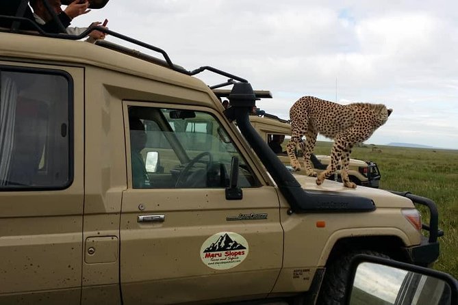 3 Days Lake Manyara, Ngorogoro Crater, Tarangire National Park - Tour Details and Logistics