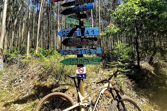 4 Hour Private MTB Enduro Trail Tour in Sintra Mountain - Prepare for the Tour