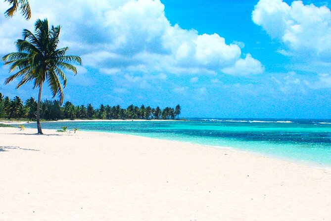 6 + 1 Full Day Isla Saona Tour and Snorkel in Natural Pool Mangroves Punta Cana - Activity Descriptions