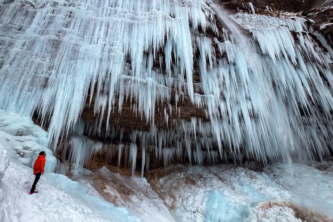 7 Alpine Wonders: Winter Edition - Slovenian Cuisine and Traditions