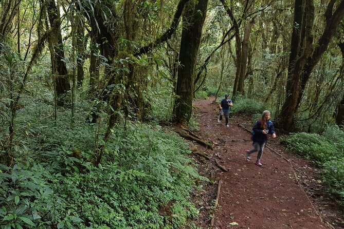 7-Day Mountain Climbing in Machame Route - Why Choose This Tour