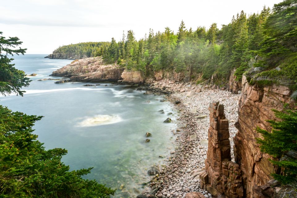 Acadia National Park Self-Guided Driving Tour From Cadillac - Wildlife Insights and Reintroductions