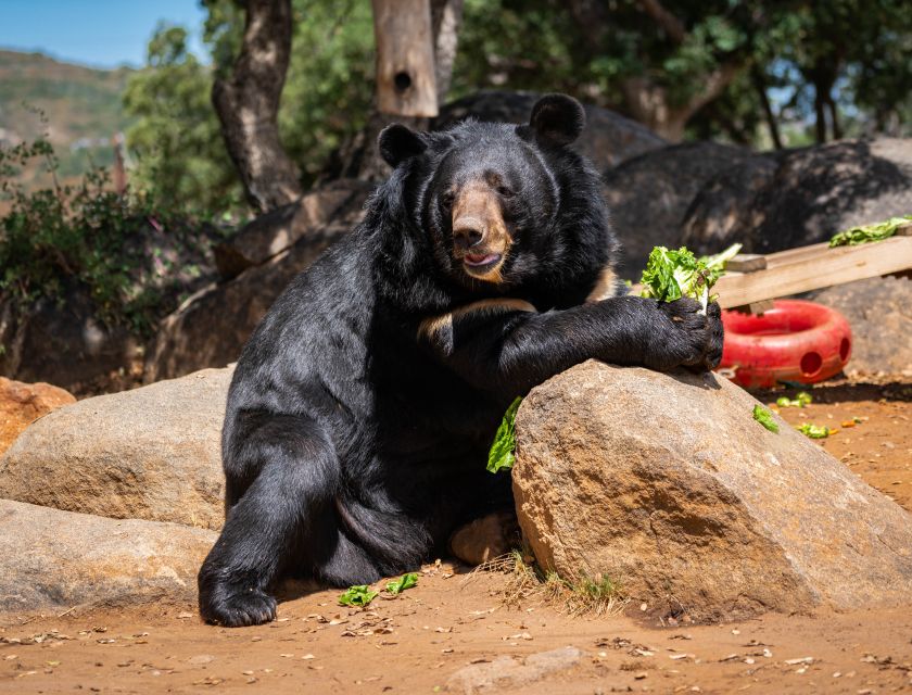 Alpine: Lions Tigers & Bears Sanctuary Visit and Feeding - Directions to the Sanctuary