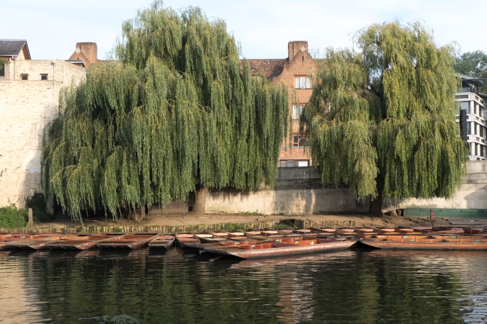 Cambridge: Punting Tour on the River Cam - Booking Information