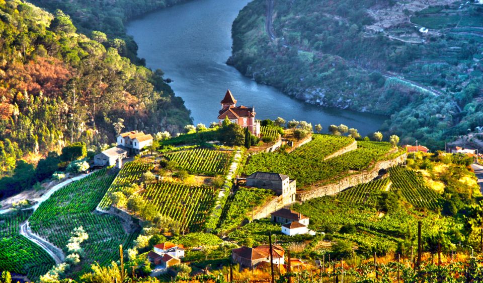 Douro Valley Private Tour With 2 Wine Tastings - Frequently Asked Questions