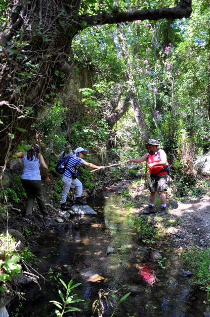 Elounda: Private Tour to Rihti Waterfalls and Mochlos - Safety and Comfort